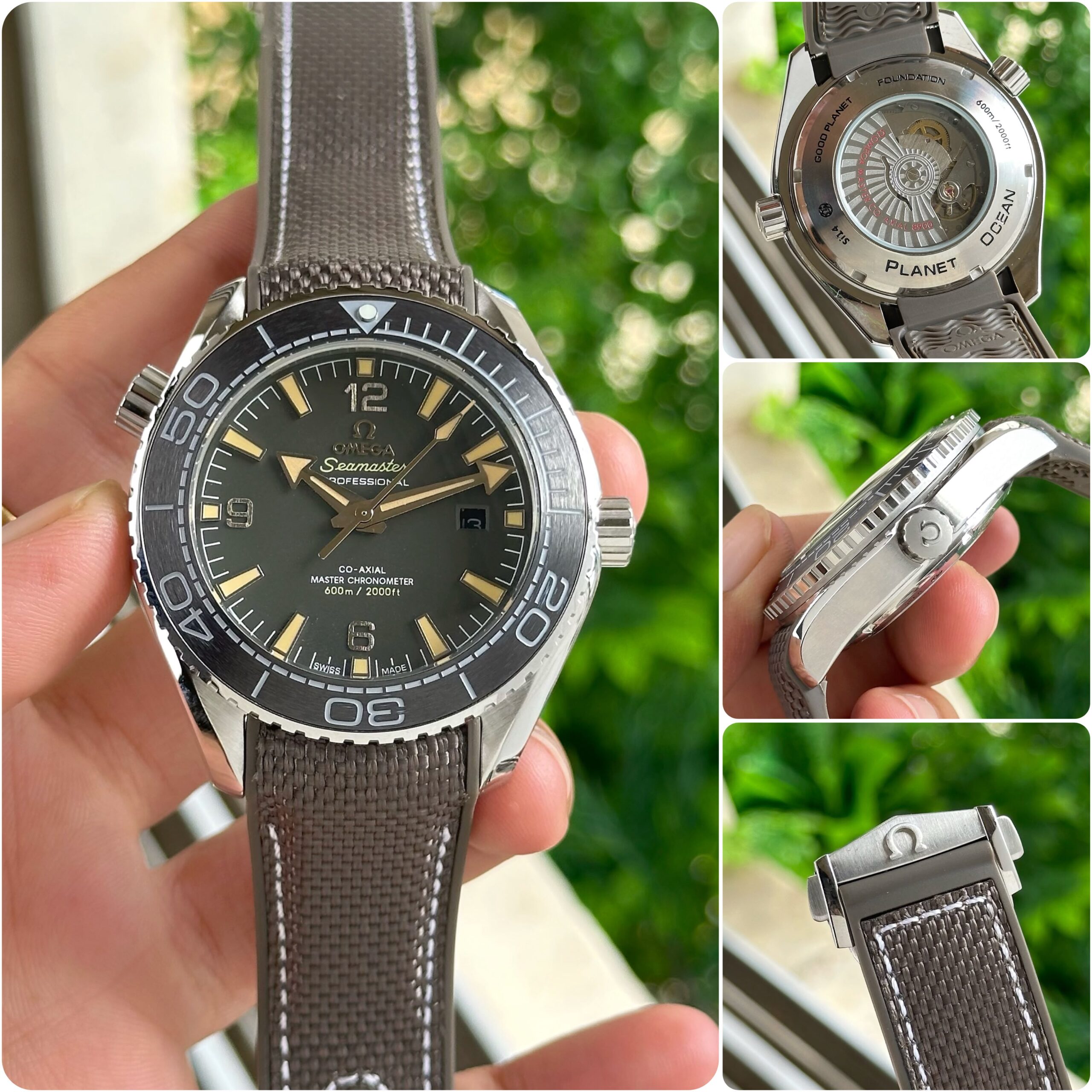 Omega Seamaster Planet Ocean 600M 7AA Automatic Men's Watch Gray Dial Gray Rubber Strap 3 Omega Seamaster Planet Ocean 600M Automatic Men's Watch Display Cushion